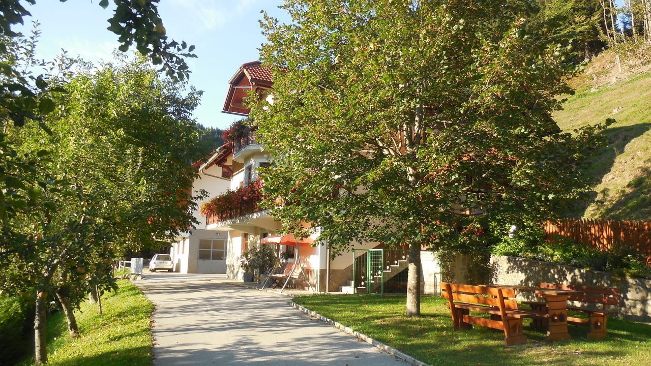 Apartments Savinja Luče Exteriör bild